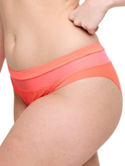 PRIMADONNA Sophora Rio Brief -FREYA Shop braforme primadonna sophora 0563180 SPZ s