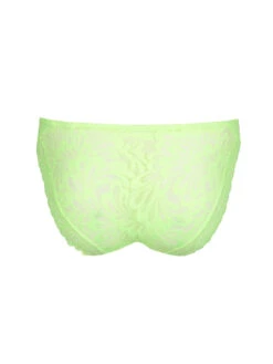 Rupi Rio Brief -FREYA Shop braforme primadonna twist rupi 0542470 MOJ cb