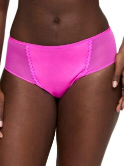 Vivgirl Full Brief