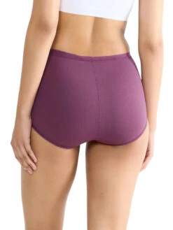 Sloggi Basic+ Maxi (3 Pack) -FREYA Shop braforme sloggi basic maxi 10105593 V013 b