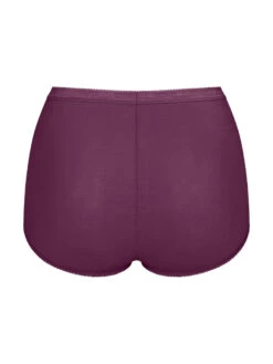 Sloggi Basic+ Maxi (3 Pack) -FREYA Shop braforme sloggi basic maxi 10105593 V013 cb