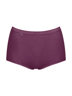 Sloggi Basic+ Maxi (3 Pack) -FREYA Shop braforme sloggi basic maxi 10105593 V013 cf