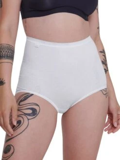 Sloggi Basic+ Maxi (4 Pack) -FREYA Shop braforme sloggi basic 2b 10103326 v016 f