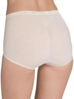 Sloggi Basic+ Maxi 26 Sloggi Basic+ Maxi -FREYA Shop braforme sloggi knickers lingerie basic 10149141 0038 b