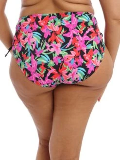 ELOMI Savaneta Bikini Brief -FREYA Shop braforme swim elomi savaneta 801370 blk back