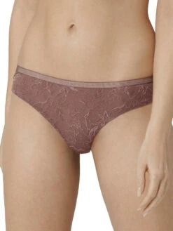 Triumph Amourette Charm Brazilian -FREYA Shop braforme triumph amourette charm brazilian brief knickers 00ud rose brown f