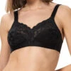 Triumph Delicate Doreen N Full Cup Bra - Black -FREYA Shop braforme triumph doreen 10135874 0004 f