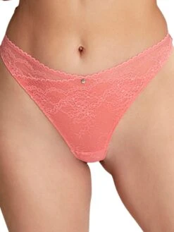 Panache Alexis Thong -FREYA Shop panache alexis 10479 a02 f