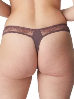 Twist "I Do" Hotpant -FREYA Shop primadonna twist i do toffee tfe 0641600 b